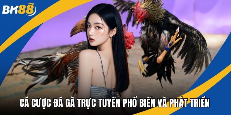 Cá cược đá gà