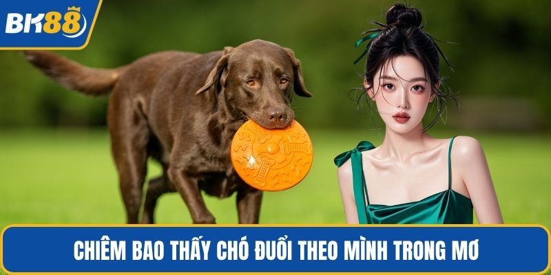 Chiêm bao thấy chó đuổi theo mình trong mơ
