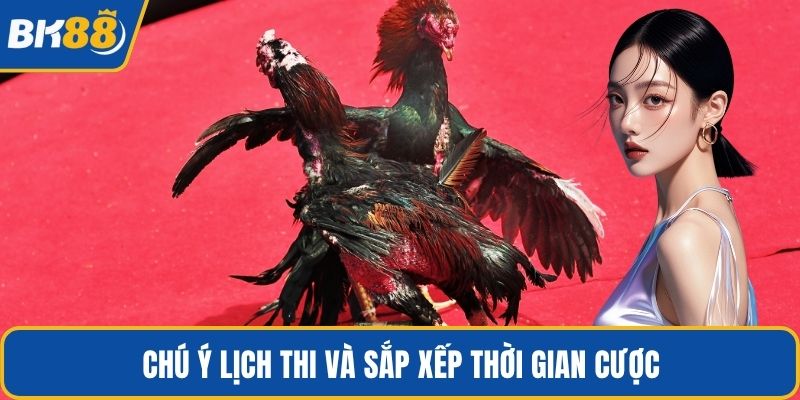 Chú ý lịch thi và sắp xếp thời gian cược