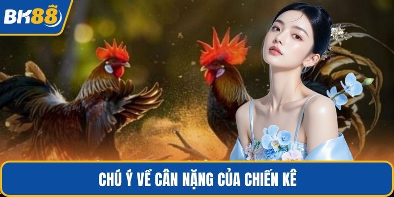 Chú ý về cân nặng của chiến kê