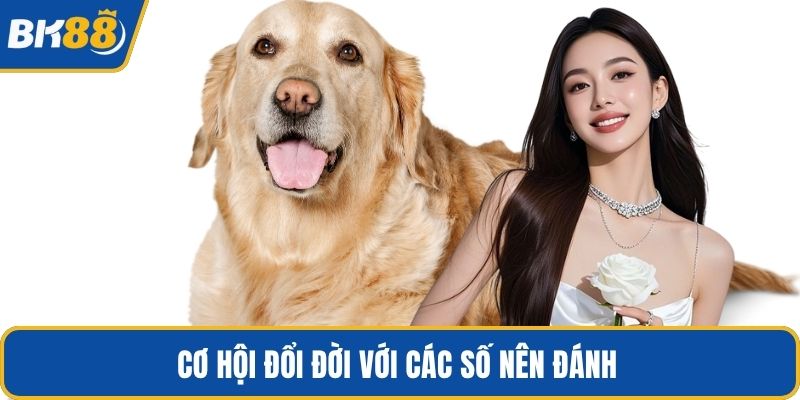 Cơ hội đổi đời với các số nên đánh