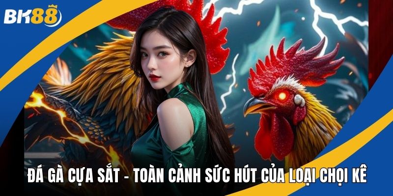 Đá gà cựa sắt