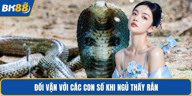 Đổi vận với các con số khi ngủ thấy rắn