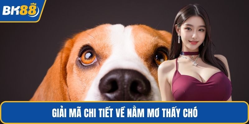 Giải mã chi tiết về nằm mơ thấy chó