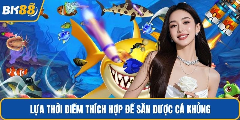 Lựa thời điểm thích hợp để săn được cá khủng