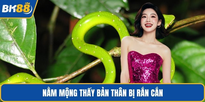 Nằm mộng thấy bản thân bị rắn cắn