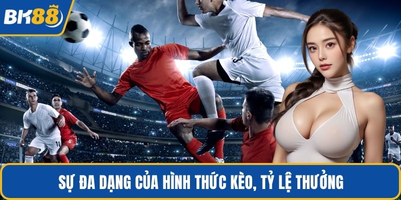 Sự đa dạng của hình thức kèo, tỷ lệ thưởng