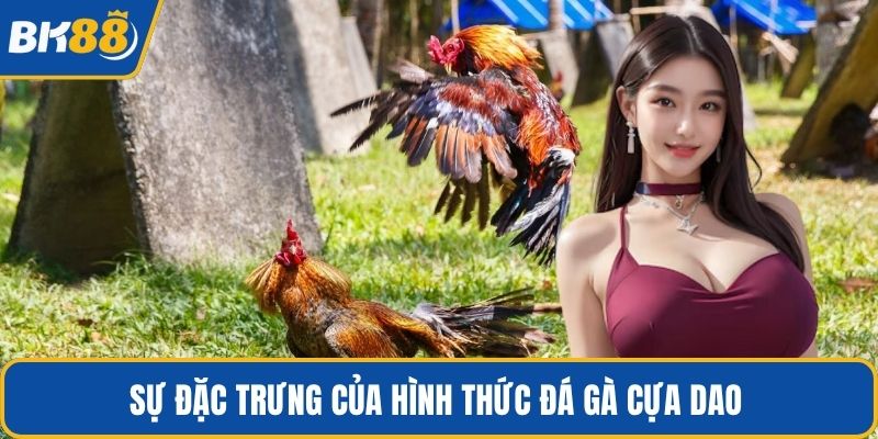 Sự đặc trưng của hình thức đá gà cựa dao 