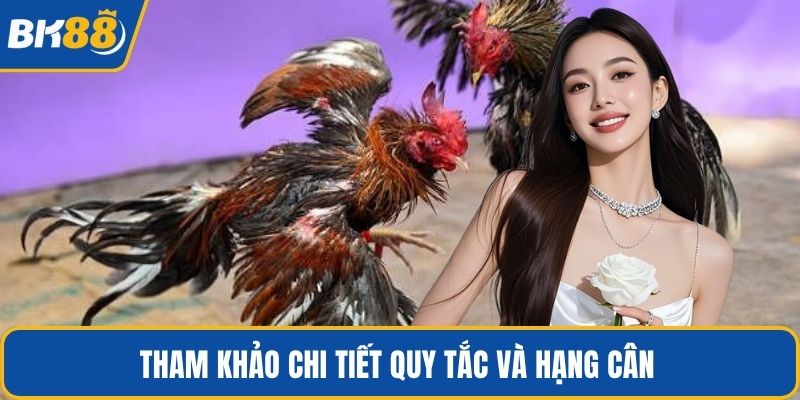 Tham khảo chi tiết quy tắc và hạng cân