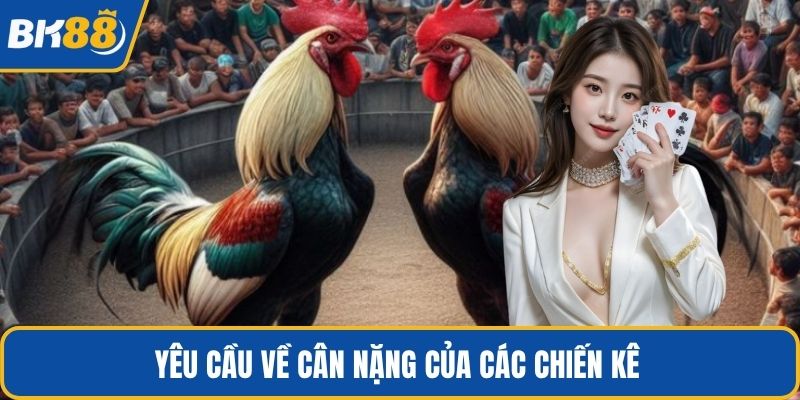 Yêu cầu về cân nặng của các chiến kê